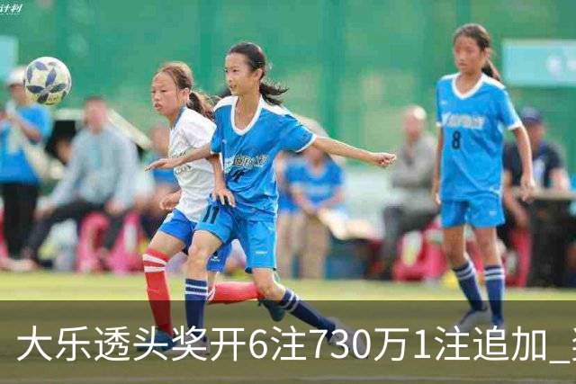 大乐透头奖开6注730万1注追加 奖池余额7.91亿